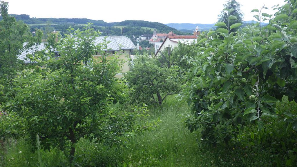Ubytovani U Dolanskych Český Krumlov Exterior foto